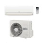 Hitachi Climatizzatore Monosplit Dodai Frost Wash 12000 btu RAK-50REF Inverter Wi-Fi Optional Classe A++