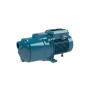 Calpeda Elettropompa Autoadescante Monoblocco NGLM 4/110 1HP