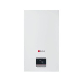 Hermann Saunier Duval Caldaia a Condensazione Thema Condens 30 SB Metano/ Gpl con Kit Fumi Incluso